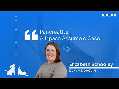 🇧🇷🔵 PANCREATITE: a Lipase assume o caso! 🎙️ IDEXX Talks | Lipase Pancreática #1