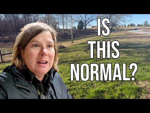 I’ve Never Seen This on the Farm Before?