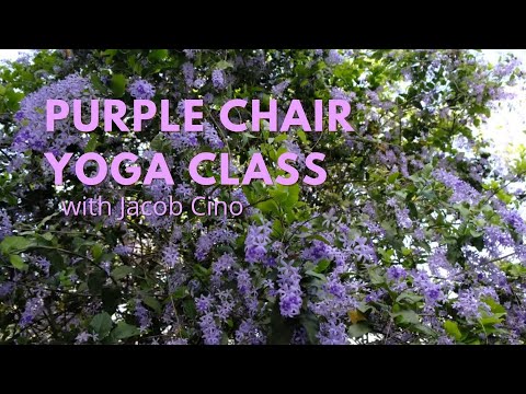 Purple Chair Yoga Class with Jacob Cino