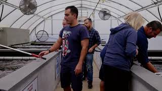 Koi Market Aquatic Nursery - Your One Stop Shop for All Things Koi