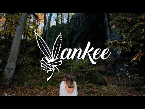 MADAME SHAA - AYLEE REMIX 2019