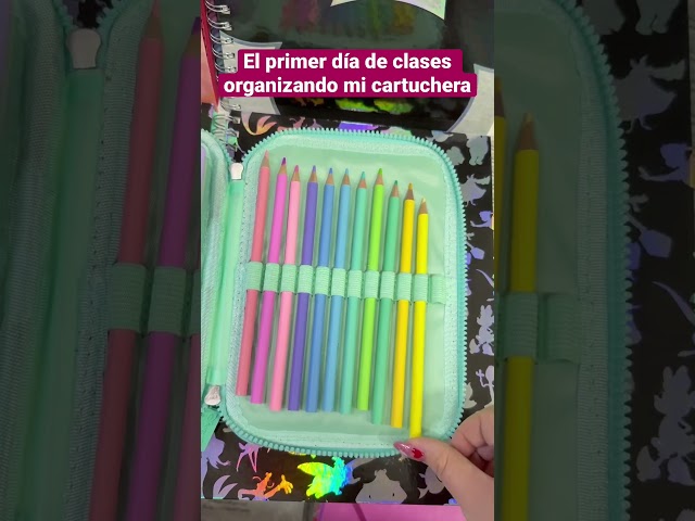 Vídeo relacionado con Grupo Erik Estuche Escolar Garfield, Estuche Gato para niñas y niños de Felpa Rectangular, Portalápices Colegio, Material Vuelta al Cole: Stitch Regalos