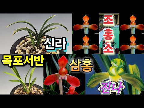 유튜브 썸네일