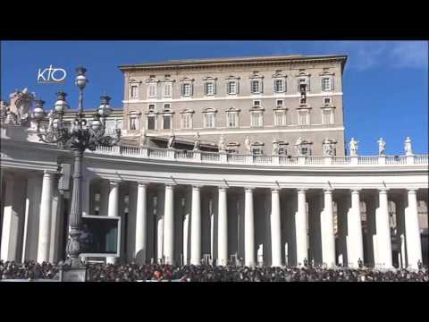 Angelus du 22 novembre 2015