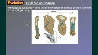 Evolution Part 1: Introduction and Evidence