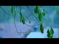 Manasellam Mazhaye Whatsapp Status Rk Creations Love