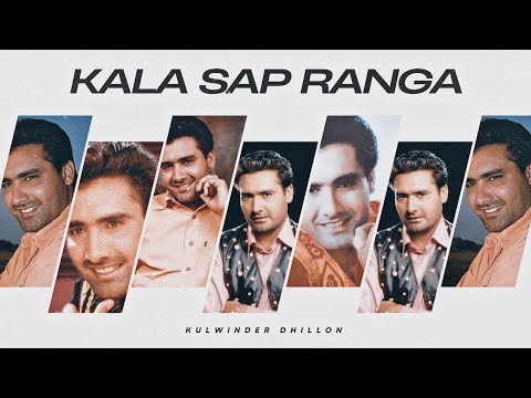 Kala Sap Ranga Suit - Kulwinder Dhillon X Smoke Ride