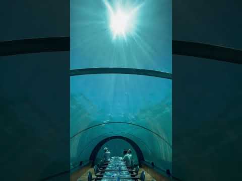Dinning under the water - Maldives Hurawalhi Resort