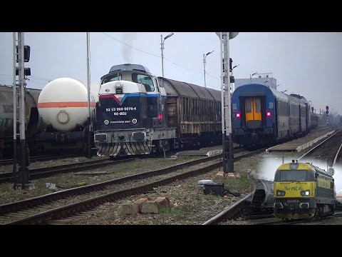 Trenuri de Marfă și de Călători la Episcopia Bihor (19.12.2021.)