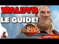 WALDYR LE GUIDE! CALL OF DRAGONS