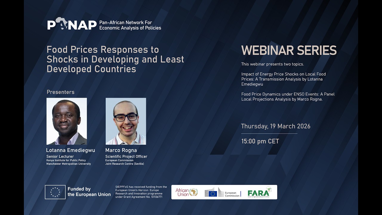 Food Price Responses to Shocks in Developing and Least Developed Countries