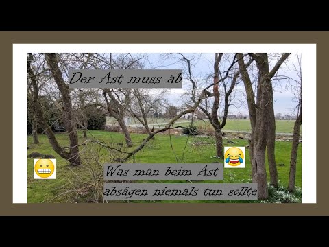 Was ihr beim Ast absägen niemals tun solltet. 😁