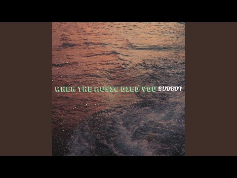 When the Music Died You