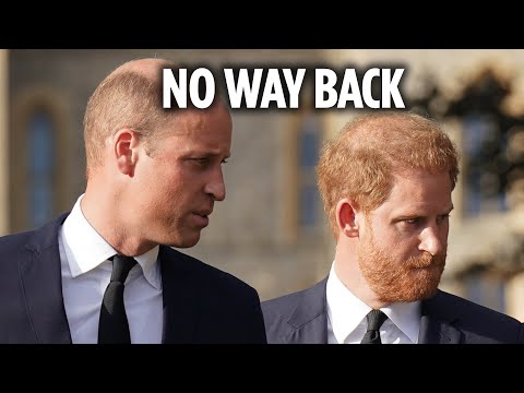 I know why Prince Harry and William's explosive feud is here to stay - it’s so obvious