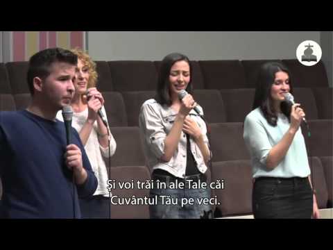 Excelsis Worship - In bratul Tau