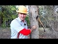 Skills Every Guy Should Master Axemanship