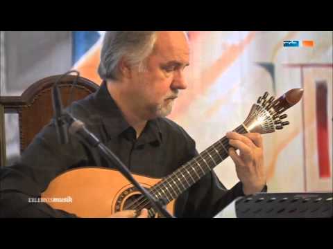 Fantasia Verdes Anos (Carlos Paredes/Pedro Caldeira Cabral)