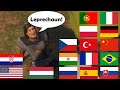 Shrek Is Called Giant Mutant Leprechaun In 16 Different Languages
