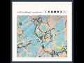 Wild Nothing - Nocturne (Full Album) 