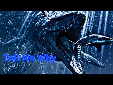 Mosasaurus Tribute - Tell Me Why