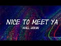 Niall Horan Nice to Meet Ya Lyrics Niall Horan Nice to Meet Ya Lyrics