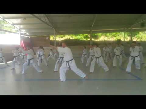 Juno Kata Sono Ichi - Sensei Kristian Gómez del Dojo Kankukan Kyokushin-kan Madrid.