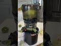 Juicing Melon Peel Using Kuvings AUTO10 Hands Free Slow Juicer