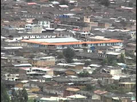 raton travieso LOS ANGELES DE SAN ANTONIO