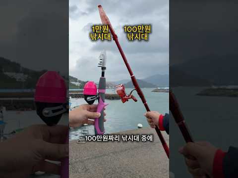 1만원 낚시대 VS 100만원 낚시대