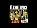 The Fleshtones -Love's In The Grave-