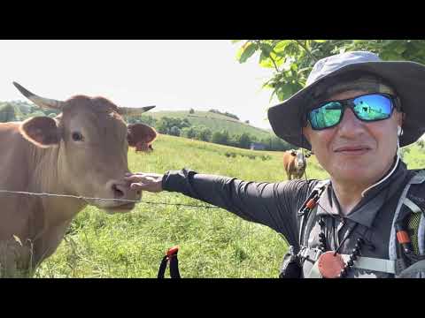 2 tappa del Cammino di Santiago de Compostela Asson Arudy 17 maggio 2022