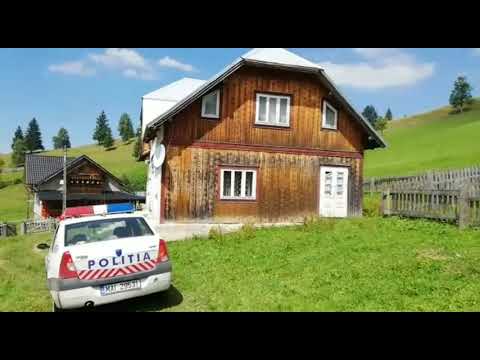 Pruncucidere Poiana Negrii