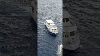 Flori on the go....💃 ❤️ 🌷 ⛱️ 🌇 🛳 #youtubeshorts #ytshorts #trending #viral #travel #cruise #fun