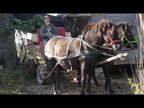 RUSZANIE i PARKOWANIE ZAPRZĘG KONNY