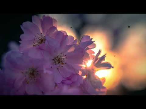 Tim Carleton • Opus No1 (rusted NOT slowed)