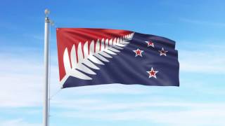 Silver Fern (Red, White and Blue), Kyle Lockwood - Flag Consideration Project