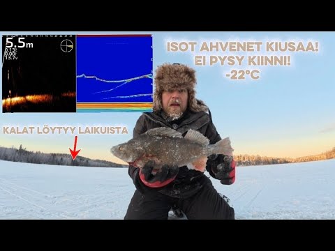 Pilkillä kovalla pakkasella | Laikut kerää ahventa | Pilkkikauden avaus!