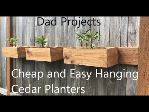 image-How do I choose a hanging planter?