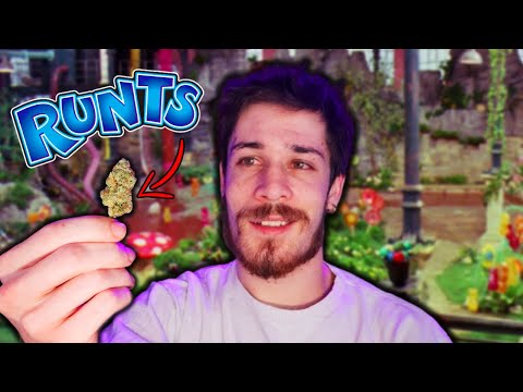 Runtz Strain