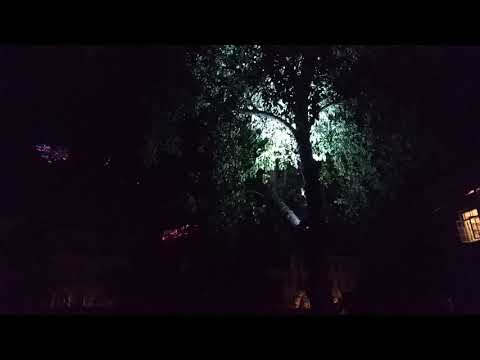 Andrey Kiritchenko live at Bouquet festival, 2020