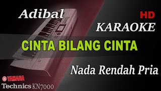 Download lagu ADIBAL - CINTA BILANG CINTA ('NADA RENDAH PRIA') || KARAOKE KN7000 mp3