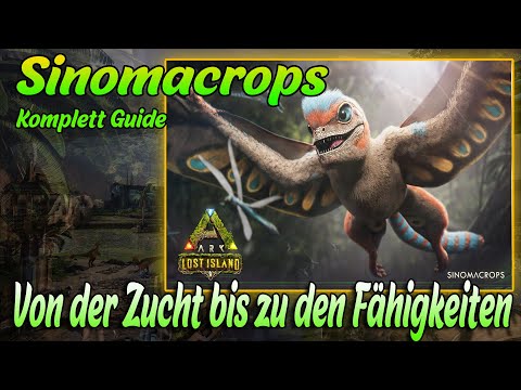 Sinomacrops Komplett Guide - Von der Zucht bis zu den Fähigkeiten | ARK Lost Island