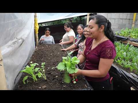 Sembrando un futuro mujeres de Quisache Acatenango Guatemala