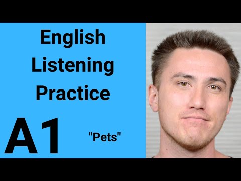 A1 English Listening Practice - Pets