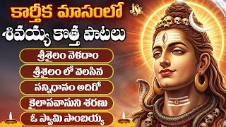 Srisailam Mallanna Telangana Devotinol Songs || Srisailam Veladam || Usha Raj || Lalitha Sagari