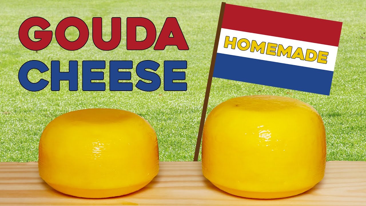 Making Gouda Cheese at Home (Homemade Baby Gouda Cheese)