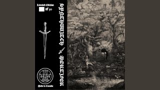 the pale forest path