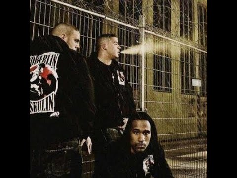 Fler feat. Reason & Silla - Hurensohn (2008)