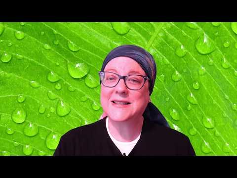 download lagu mp3 mp4 Herbs And Angels, download lagu Herbs And Angels gratis, unduh video klip Herbs And Angels