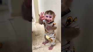 Download lagu Bbb bbb mp3 Download lagu Bbb bbb mp3